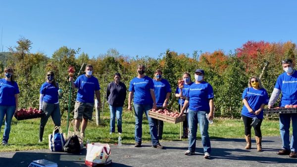 Ten people in blue t-shirts and masks stand in front of apple trees with trays of apples for distribution to food pantries.